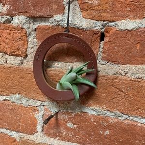 Leather Air Plant Hanger